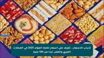 تذبذب الأسعار.. تعرف على أسعار حلاوة المولد 2025 في المحلات الكبرى والعلب تبدأ من 100 جنيه